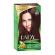 Barva na vlasy LADY in Color, 4.4 Kaštánově hnědá