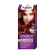 Palette barva na vlasy 50ml RI5/6-88